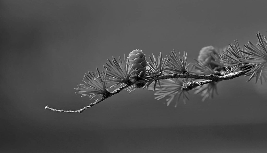 The Desolate Beauty of Greenland Mid02 Free Img 1024x587